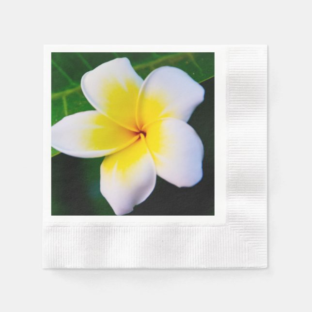 Guardanapo De Papel Fotografia de Flor de Plumeria (Frente)