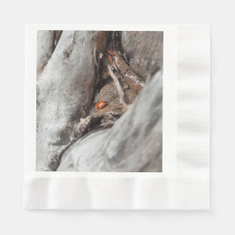 Guardanapo De Papel fotografia de um joaninha