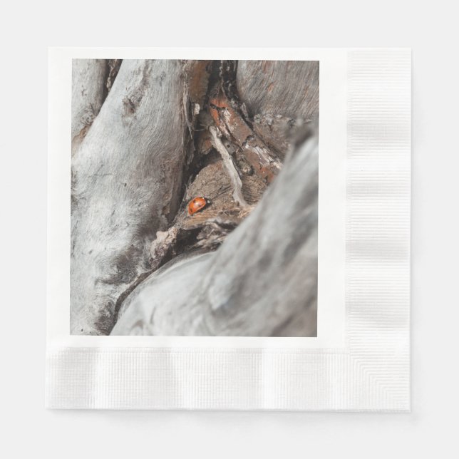 Guardanapo De Papel fotografia de um joaninha (Frente)