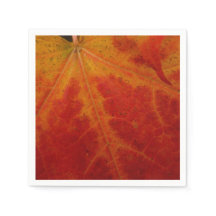 Fotografia do Abstrato de outono de Folha Vermelha