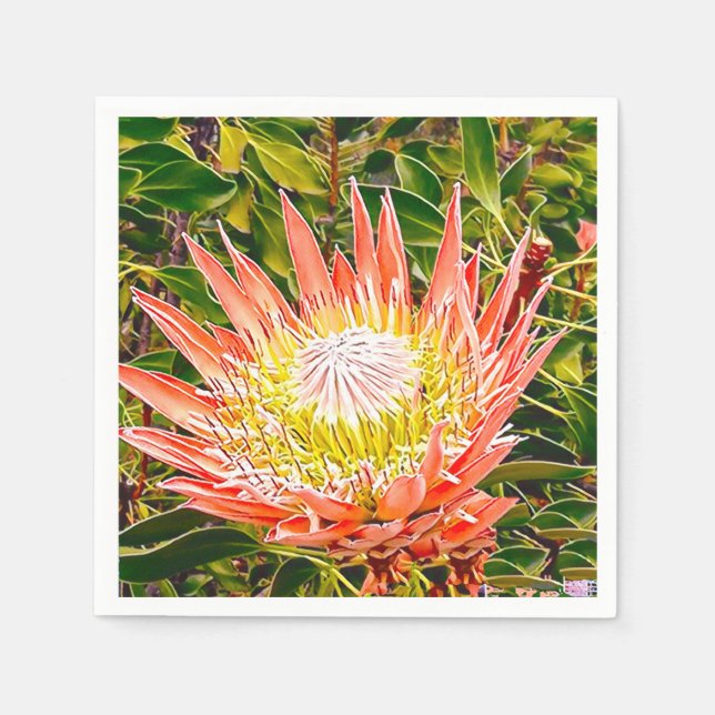 Guardanapo De Papel Fotografia floral australiana Protea (Frente)