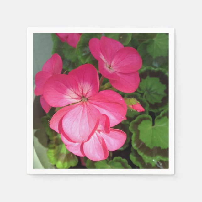 Guardanapo De Papel Fotografia Floral Rosa (Frente)