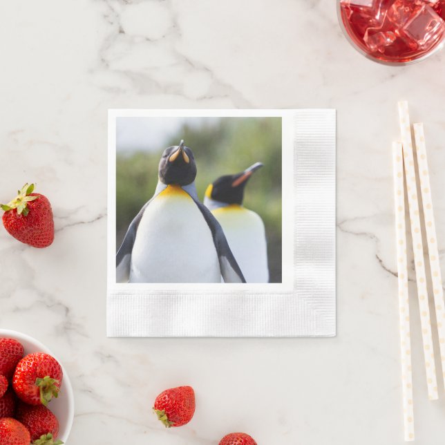 Guardanapo De Papel Fotografia orgulhosa do rei dos pinguins (Insitu)