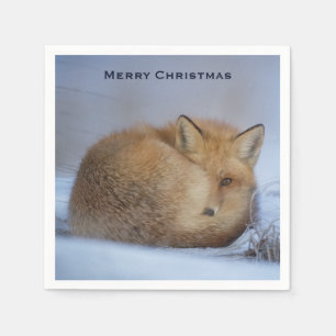 Guardanapo De Papel Fox Raposa Bonita Enrolada Foto de inverno Natal