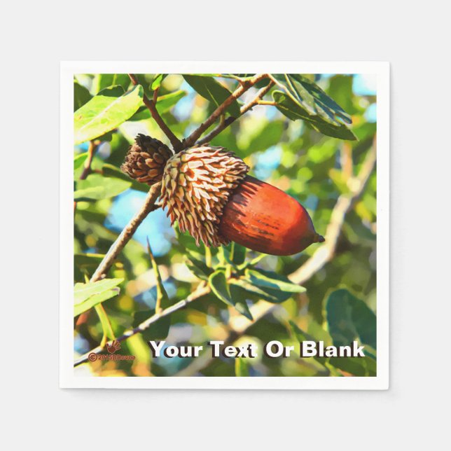 Guardanapo De Papel Galilee Acorn (Frente)