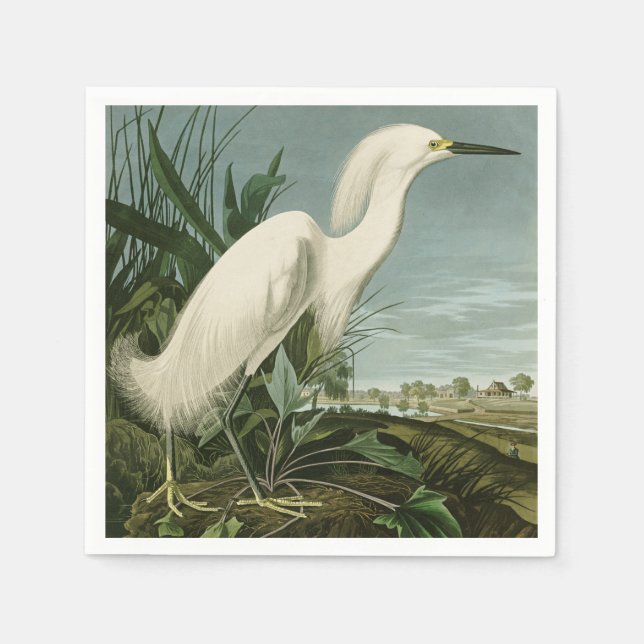 Guardanapo De Papel Garça Branca da Audubon Ave Birdismo (Frente)
