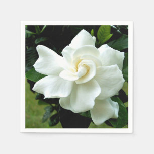 Guardanapo De Papel Gardenia