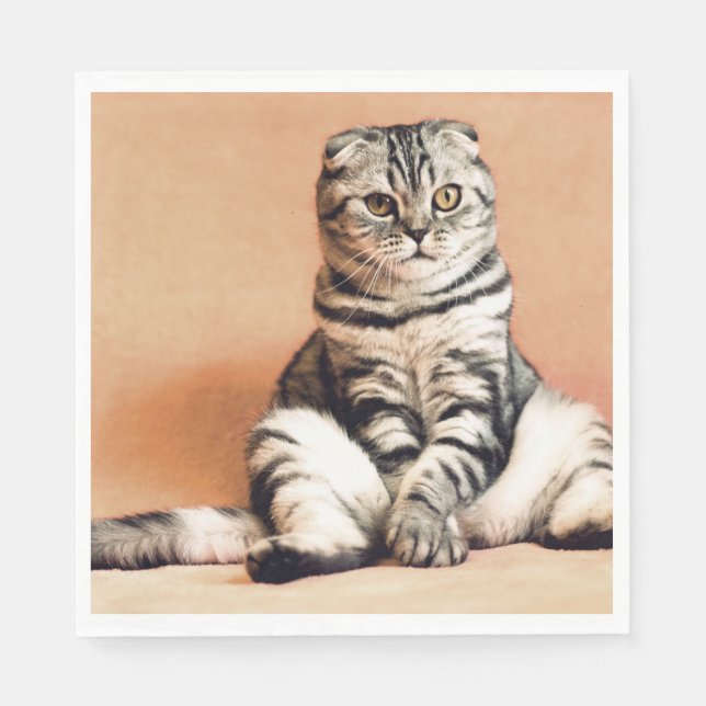 Guardanapo De Papel Gatinho Bonito Desenterrado (Frente)