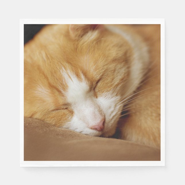 Guardanapo De Papel Gatinho Dormindo (Frente)