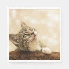 Guardanapo De Papel Gatinho Fofo com uma Pata Estimulada