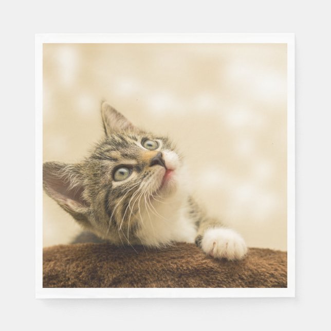 Guardanapo De Papel Gatinho Fofo com uma Pata Estimulada (Frente)