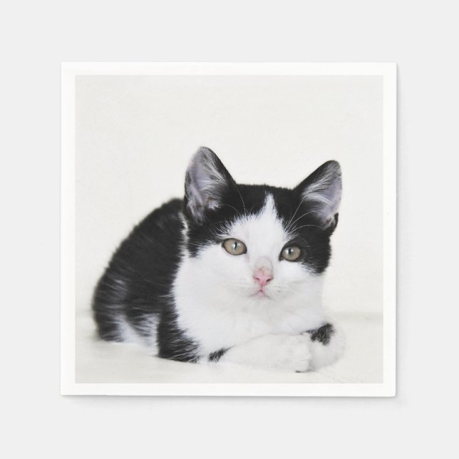 Guardanapo De Papel Gatinho Preto e Branco (Frente)