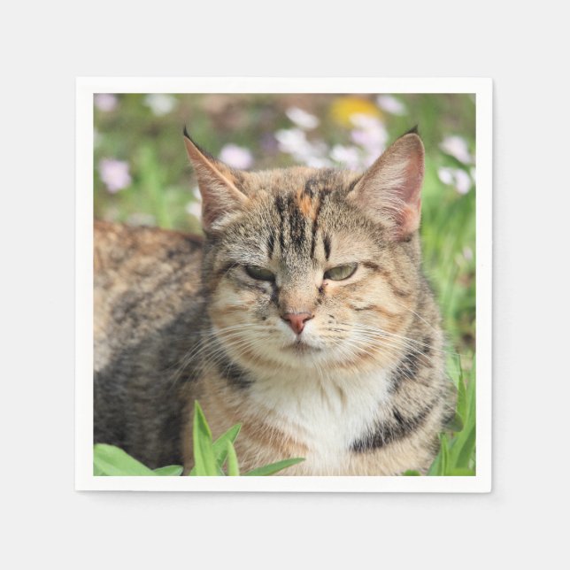 Guardanapo De Papel Gato (Frente)