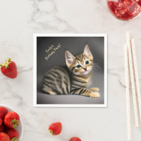 Gato de gato, pelado, fofo, bebezinho - aniversári