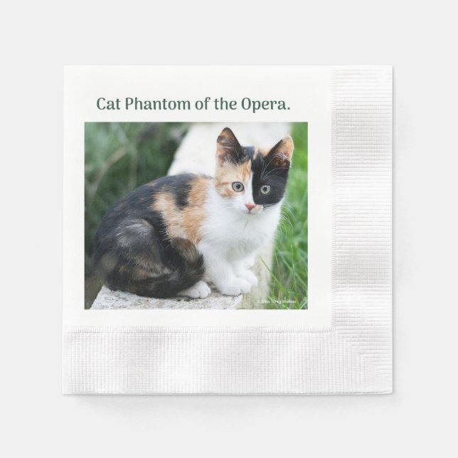 Guardanapo De Papel Gato Fantasma da Ópera (Frente)