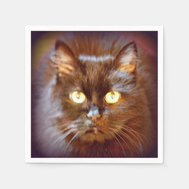 Guardanapo De Papel gato preto bonito (Frente)