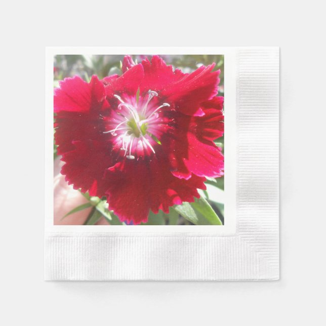 Guardanapo De Papel Geertje (Frente)