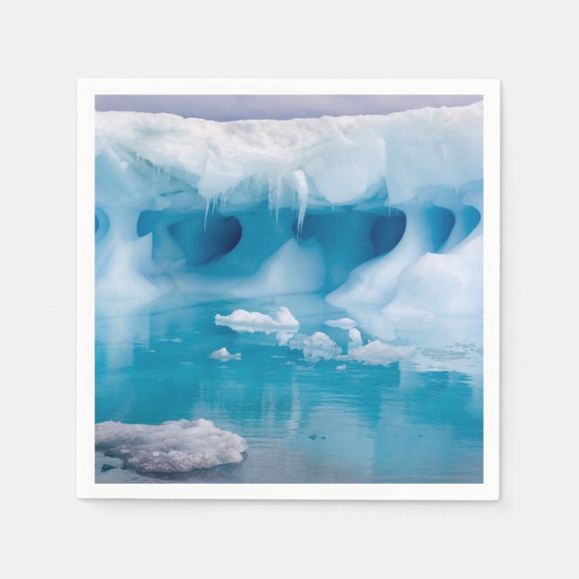 Guardanapo De Papel Gelo na Antártica (Frente)