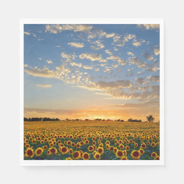 Guardanapo De Papel Girassóis no Sunset (Frente)