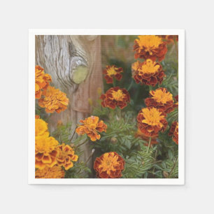 Guardanapo De Papel Glorioso Marigolds