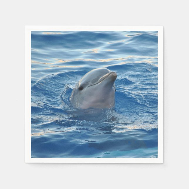 Guardanapo De Papel Golfinho (Frente)