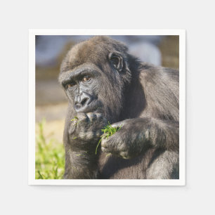 Guardanapo De Papel Gorilla Youngster
