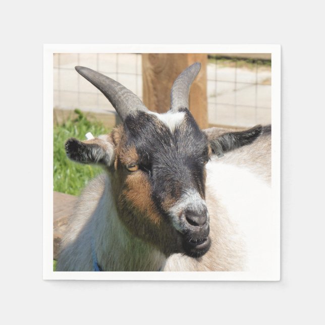 GUARDANAPO DE PAPEL GOTA BONITA (Frente)