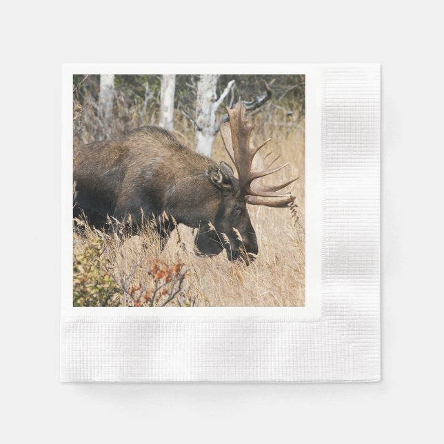 Guardanapo De Papel Grazing Moose (Frente)