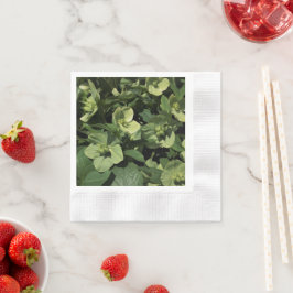 Guardanapo De Papel Green Hellebore