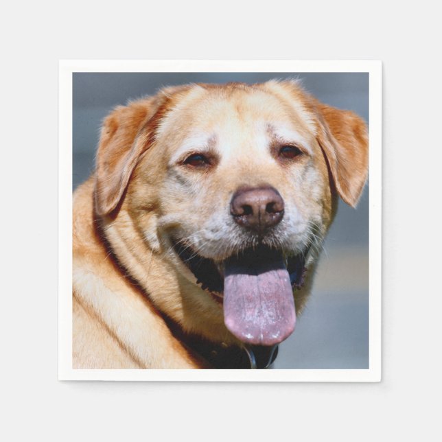 Guardanapo De Papel Grin (Frente)