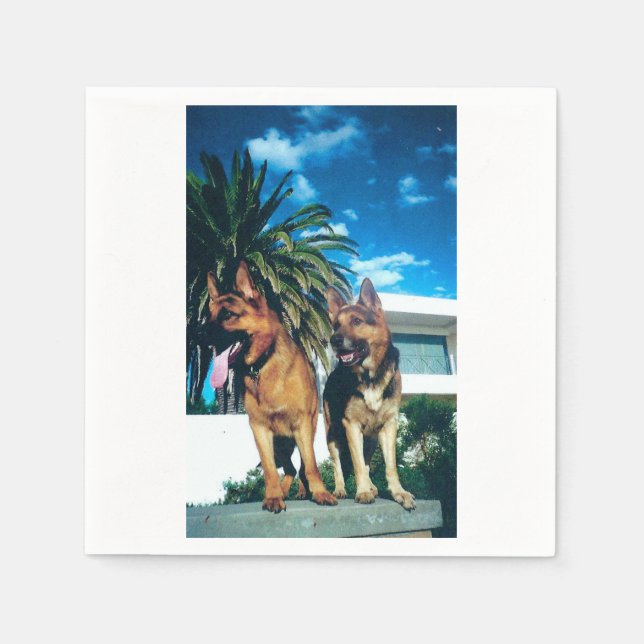 Guardanapo De Papel grupo de german shepherd (Frente)
