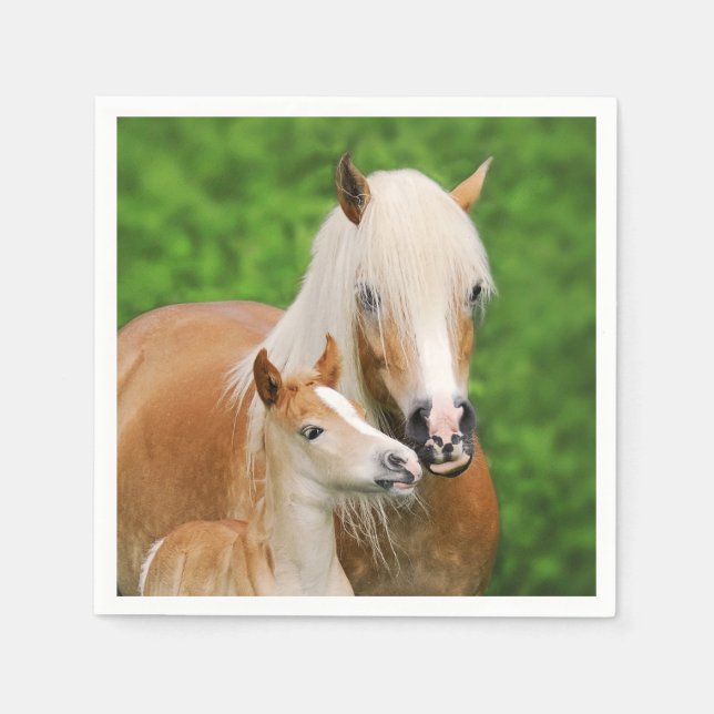 Guardanapo De Papel Haflinger Horse Cute Baby Foal Kiss Mãe Pony Foto (Frente)