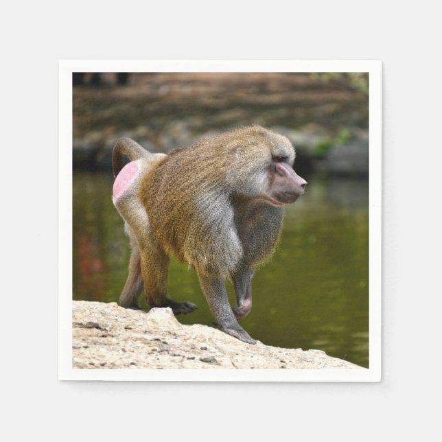 Guardanapo De Papel Hamadryas babuíno caminhando no chão (Frente)