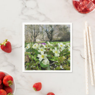 Guardanapo De Papel Harbinger de papel Primavera Napkins