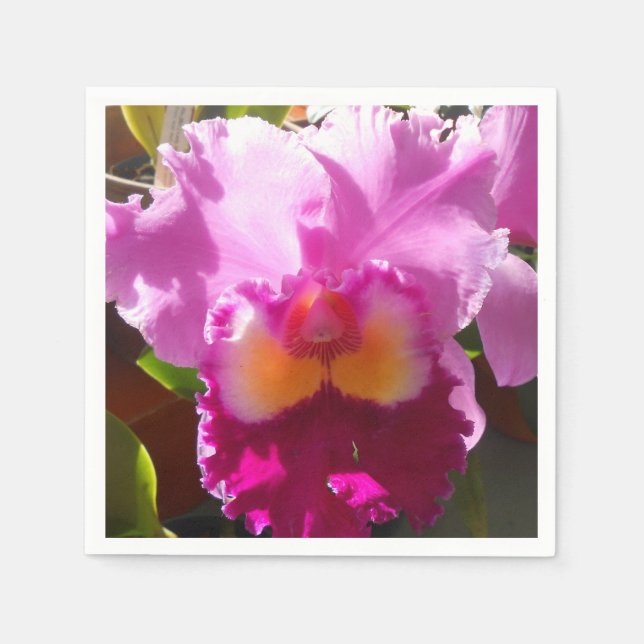 Guardanapo De Papel Harlinde (Frente)