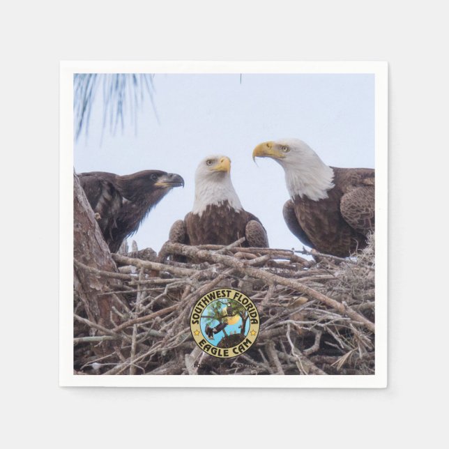 Guardanapo De Papel Harriet, M & E9 Papelão (Frente)