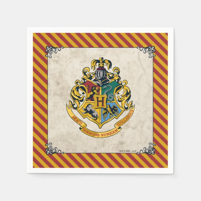 Guardanapo De Papel Harry Potter | Hogwarts Aniversário (Frente)