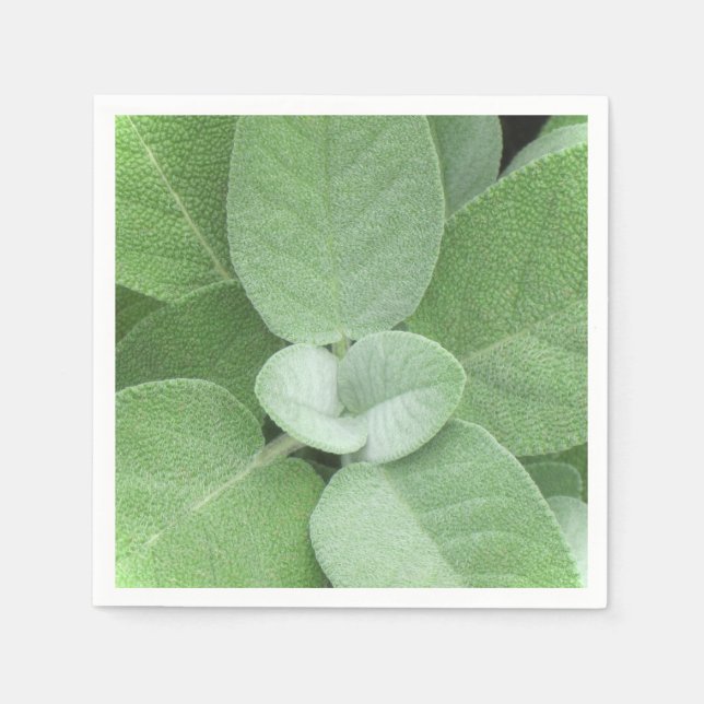 Guardanapo De Papel Herbal Napkin (Frente)