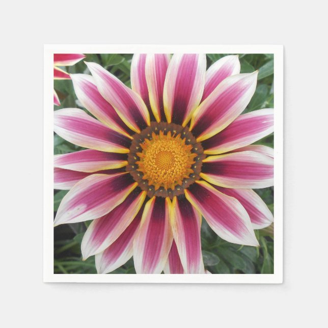 Guardanapo De Papel Hereford (Frente)