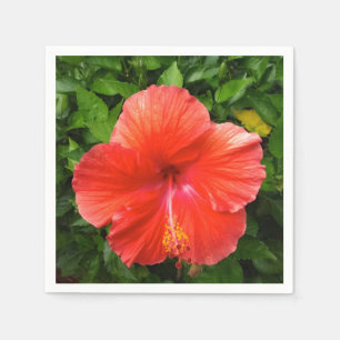 Guardanapo De Papel Hibiscus vermelho tropical Bonita Springs Florida
