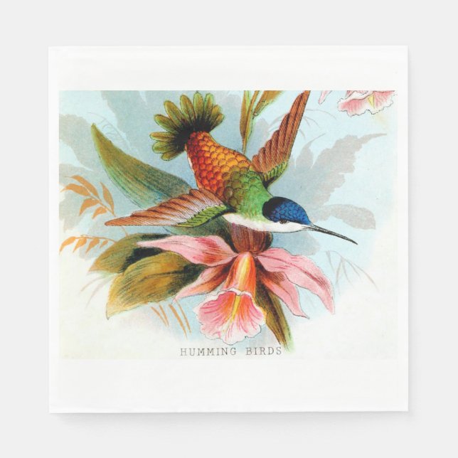 Guardanapo De Papel Hummingbird Luncheon Napkins (Frente)