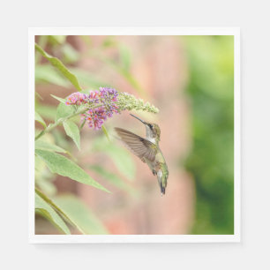 Guardanapo De Papel Hummingbird numa floração