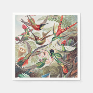 Guardanapo De Papel Hummingbird, Trochilidae Kolibris, por Ernst Haeck