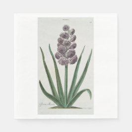 Guardanapo De Papel Hyacinth Flower (por Johann Michael Seligmann)