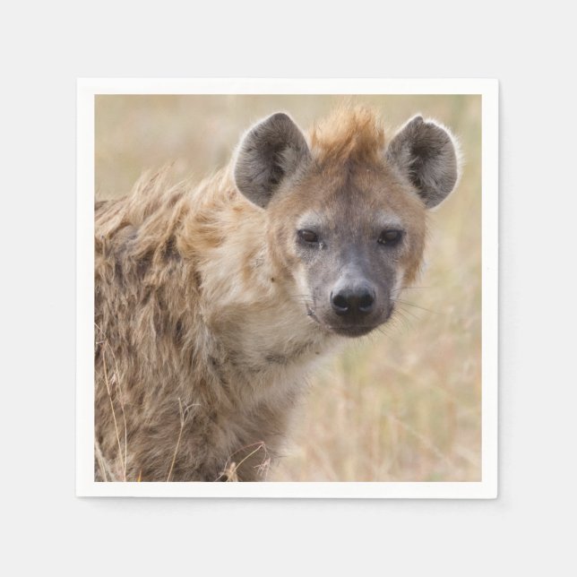 Guardanapo De Papel Hyena (Frente)