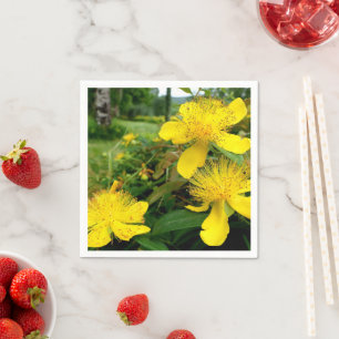 Guardanapo De Papel Hypericum calycinum Paper Napkins