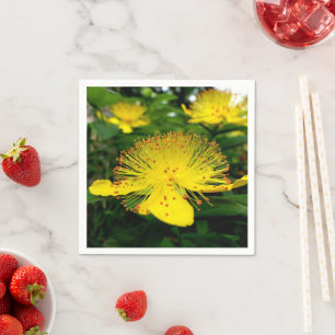 Guardanapo De Papel Hypericum calycinum Paper Napkins