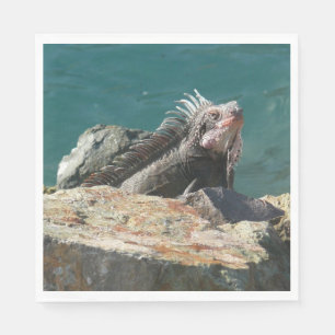 Guardanapo De Papel Iguana na Rua. Thomas Wildlife