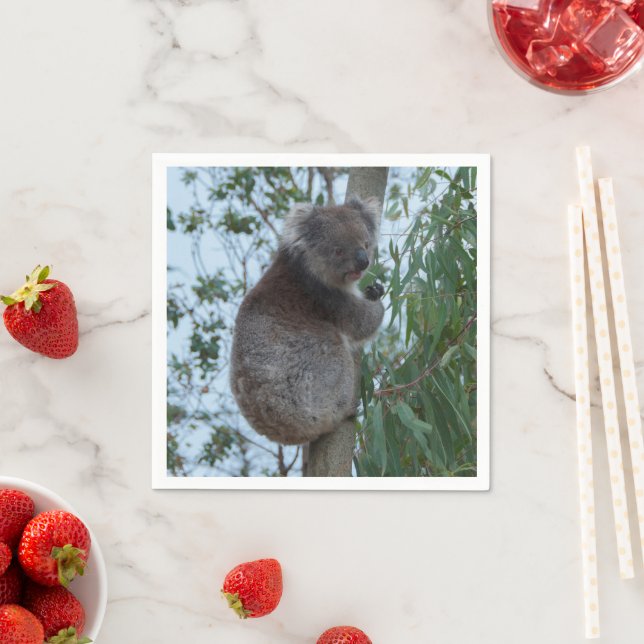 Guardanapo De Papel Ilha Kangaroo, Austrália - Cuta Koala em uma árvor (Insitu)