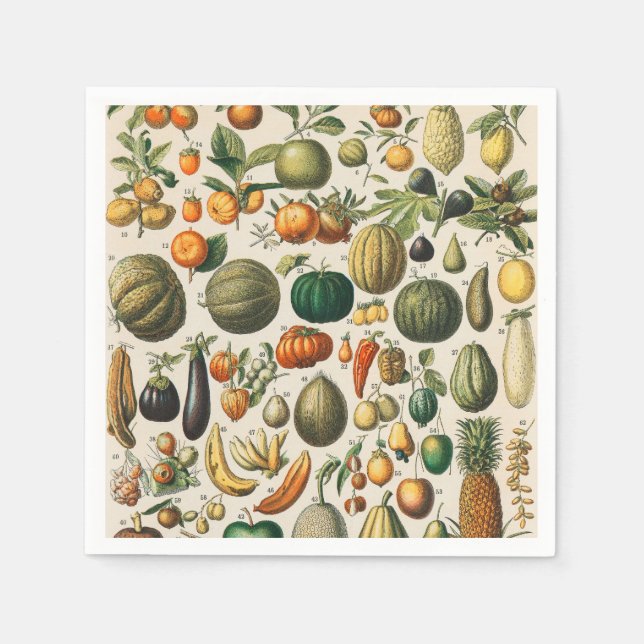 Guardanapo De Papel Ilustração Científica Botânica Vegetal fruta (Frente)